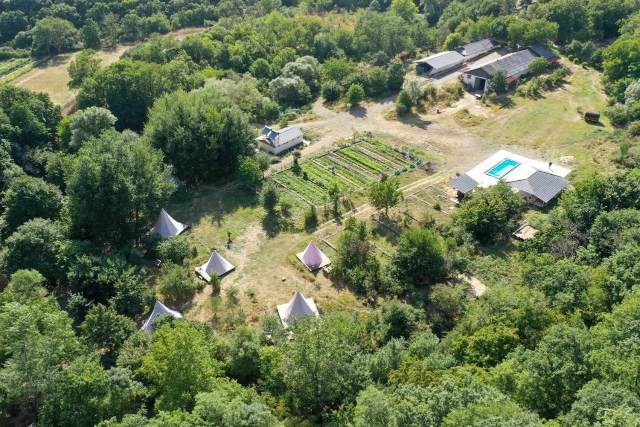 Gipsy Village Park Hotel Asureti Eksteriør billede